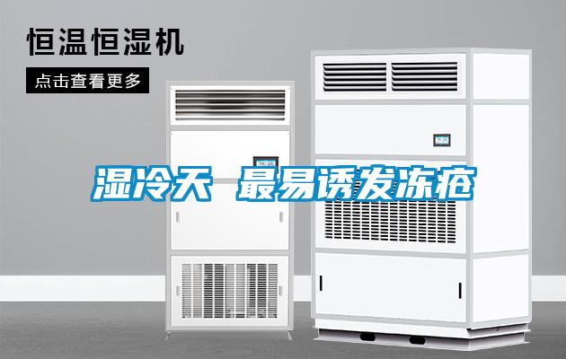 濕冷天 最易誘發凍瘡