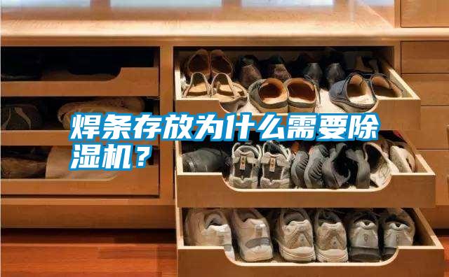 焊條存放為什么需要除濕機？