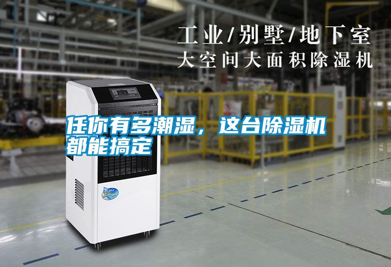 任你有多潮濕，這臺(tái)除濕機(jī)都能搞定