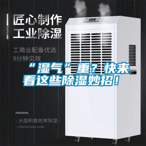 “濕氣”重？快來看這些除濕妙招！