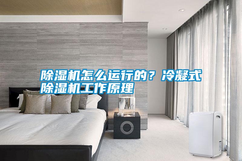 除濕機(jī)怎么運(yùn)行的？冷凝式除濕機(jī)工作原理