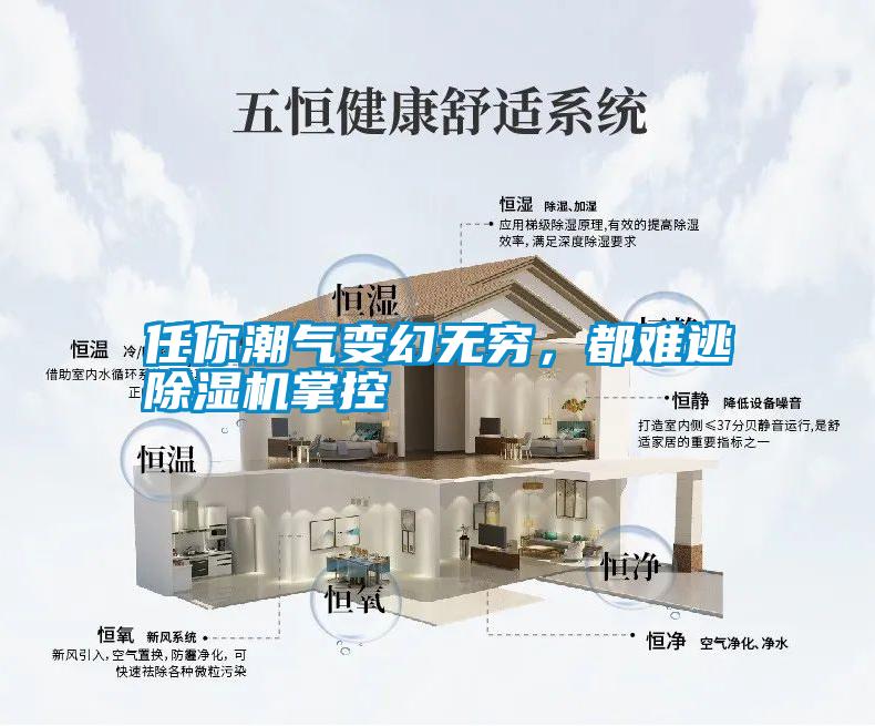 任你潮氣變幻無(wú)窮，都難逃除濕機(jī)掌控