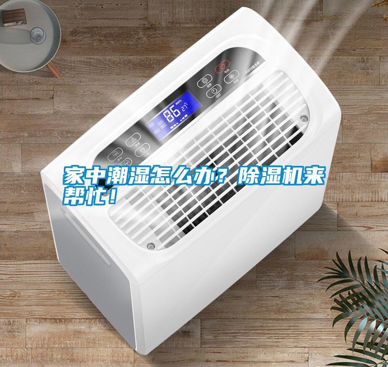 家中潮濕怎么辦？除濕機來幫忙！