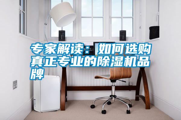 專家解讀：如何選購(gòu)真正專業(yè)的除濕機(jī)品牌