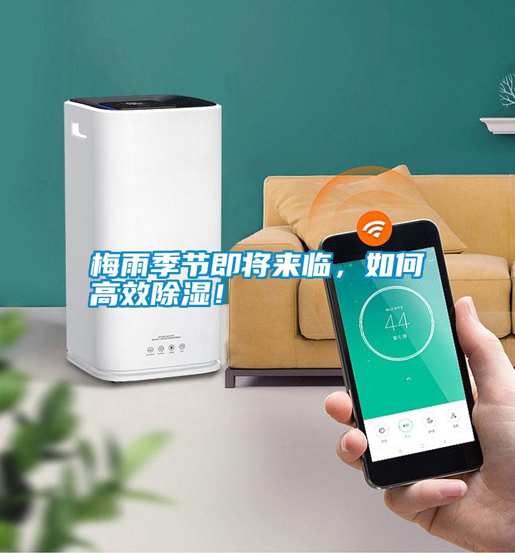 梅雨季節(jié)即將來臨，如何高效除濕！