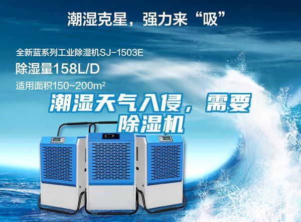 潮濕天氣入侵，需要除濕機