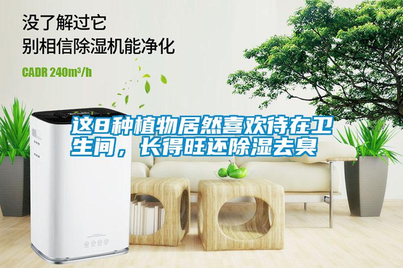 這8種植物居然喜歡待在衛生間，長得旺還除濕去臭