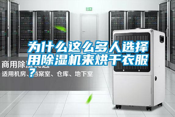 為什么這么多人選擇用除濕機來烘干衣服？