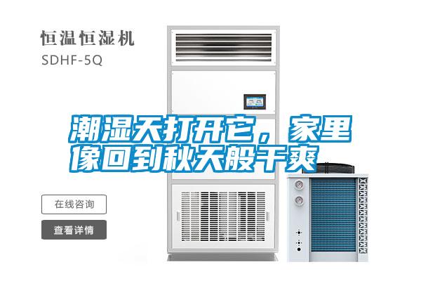 潮濕天打開它，家里像回到秋天般干爽