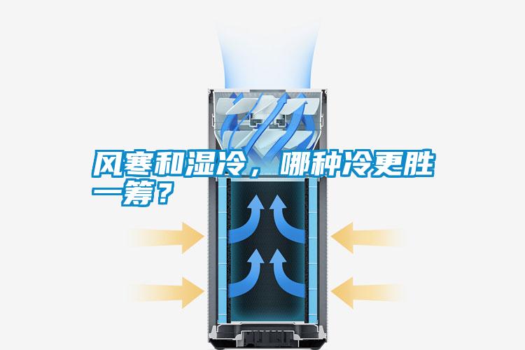 風(fēng)寒和濕冷，哪種冷更勝一籌？