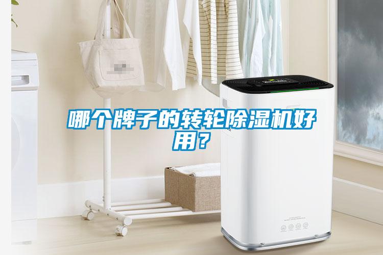 哪個牌子的轉輪除濕機好用？