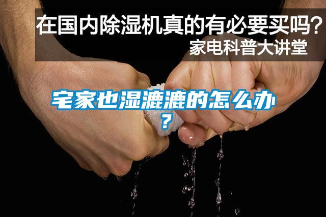宅家也濕漉漉的怎么辦？