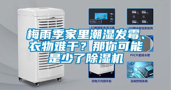 梅雨季家里潮濕發霉、衣物難干？那你可能是少了除濕機