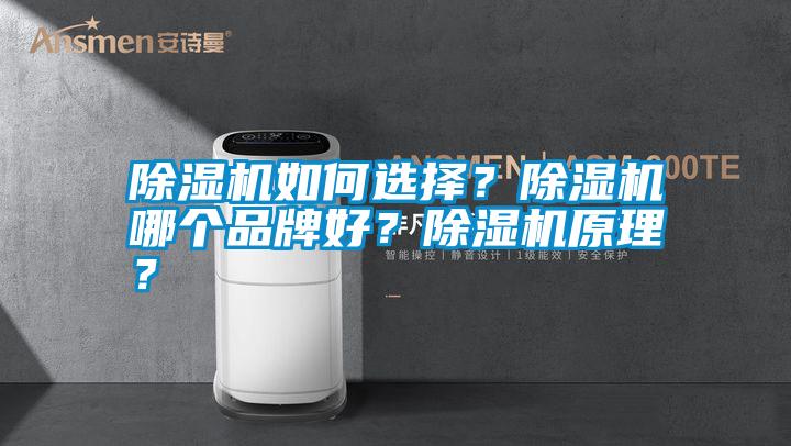除濕機如何選擇？除濕機哪個品牌好？除濕機原理？