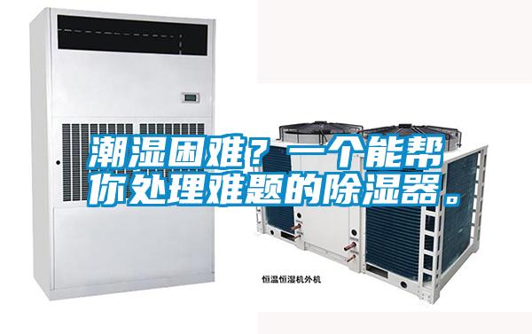潮濕困難？一個能幫你處理難題的除濕器。