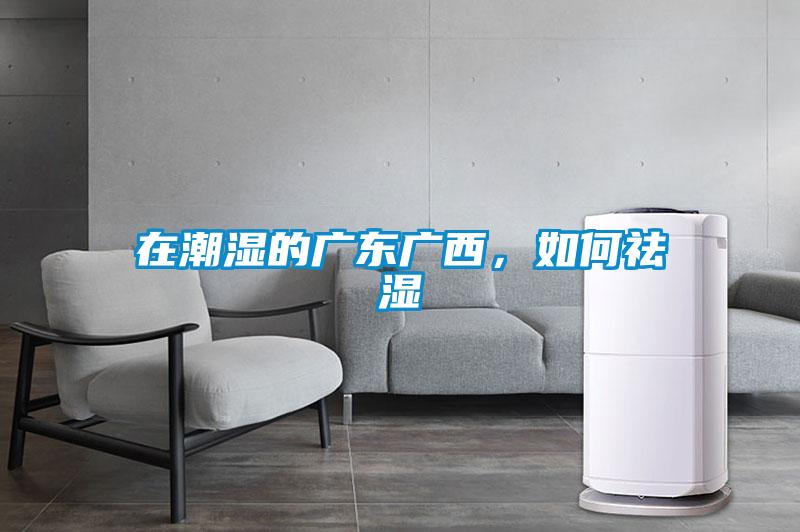 在潮濕的廣東廣西，如何祛濕