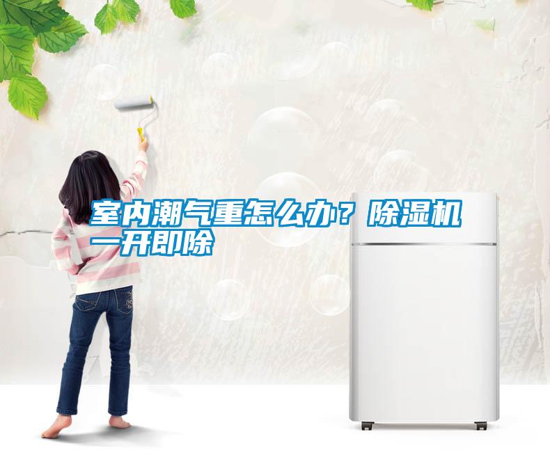 室內(nèi)潮氣重怎么辦？除濕機(jī)一開(kāi)即除