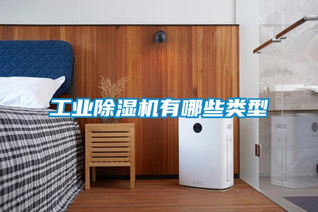 工業除濕機有哪些類型