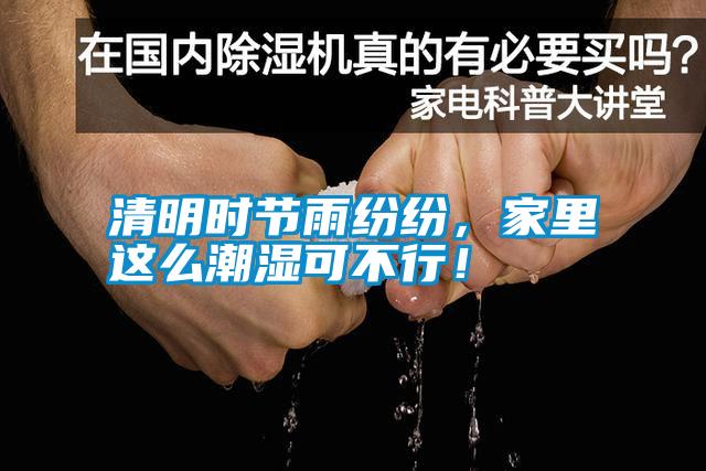 清明時(shí)節(jié)雨紛紛，家里這么潮濕可不行！