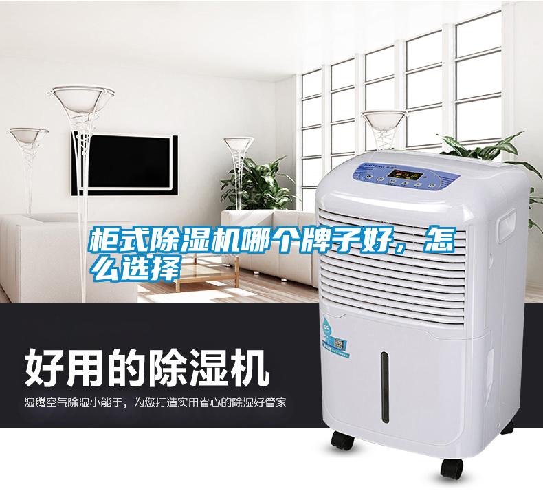 柜式除濕機哪個牌子好，怎么選擇
