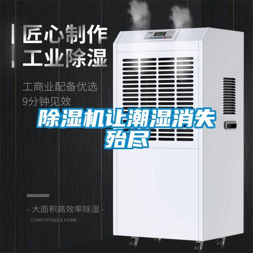 除濕機(jī)讓潮濕消失殆盡