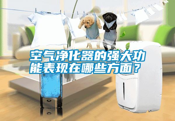 空氣凈化器的強大功能表現在哪些方面？