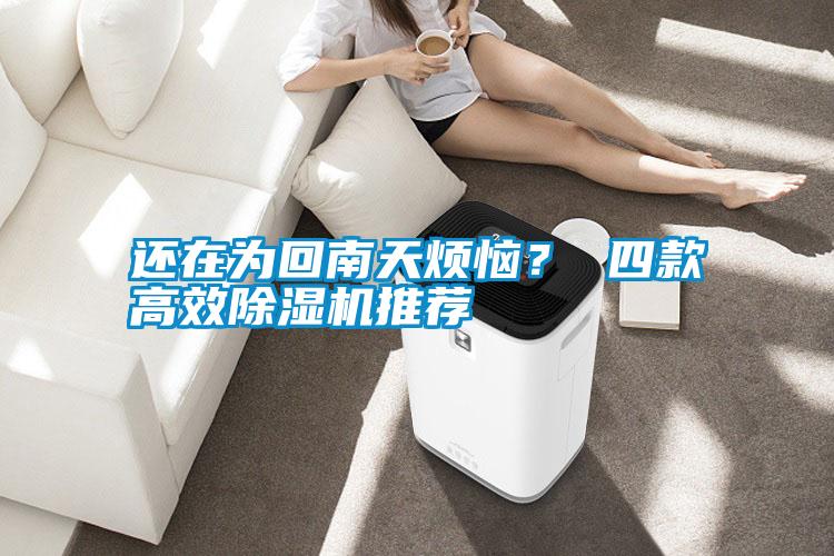還在為回南天煩惱？ 四款高效除濕機推薦