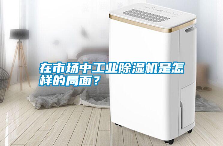 在市場中工業除濕機是怎樣的局面？