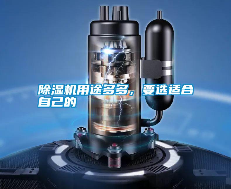除濕機用途多多，要選適合自己的