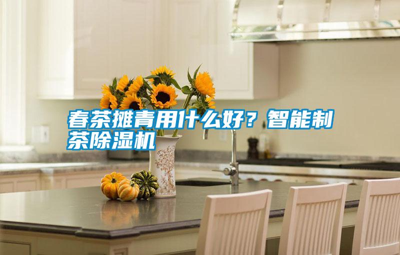 春茶攤青用什么好？智能制茶除濕機