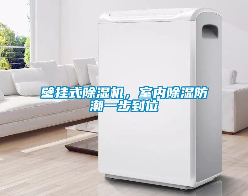 壁掛式除濕機(jī)，室內(nèi)除濕防潮一步到位