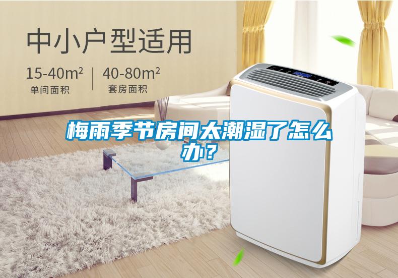 梅雨季節房間太潮濕了怎么辦？