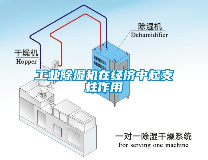 工業除濕機在經濟中起支柱作用