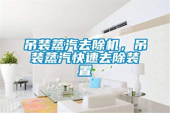 吊裝蒸汽去除機(jī)，吊裝蒸汽快速去除裝置