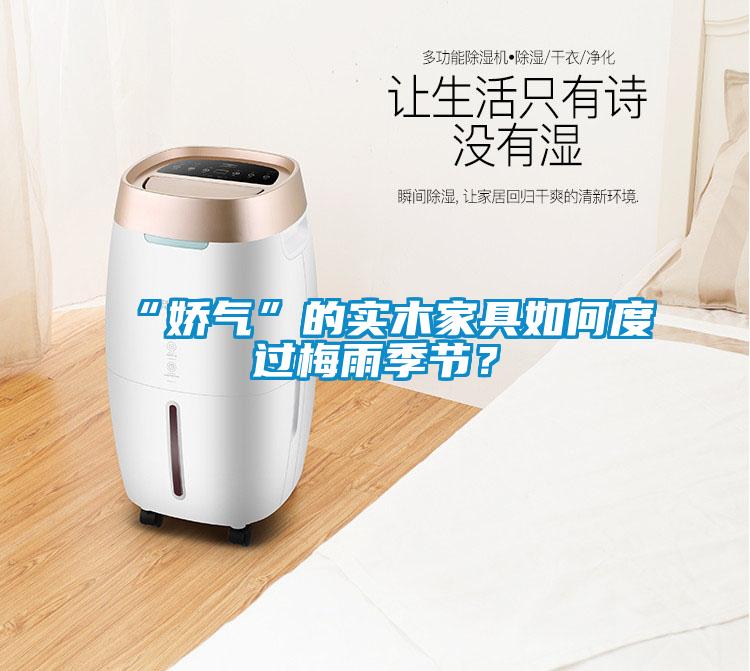 “嬌氣”的實木家具如何度過梅雨季節？