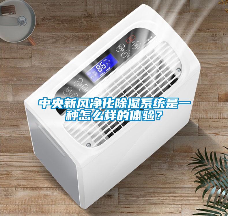 中央新風凈化除濕系統是一種怎么樣的體驗？