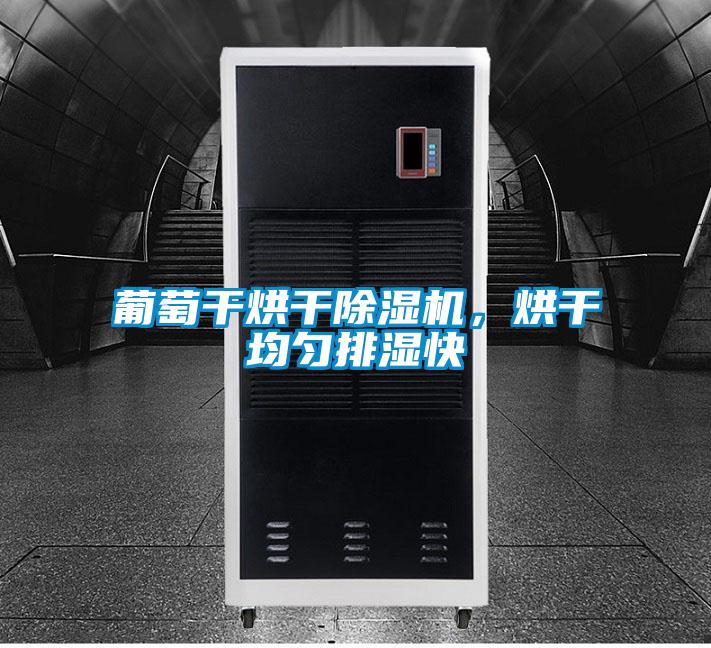 葡萄干烘干除濕機，烘干均勻排濕快