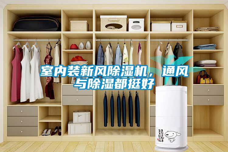 室內裝新風除濕機，通風與除濕都挺好