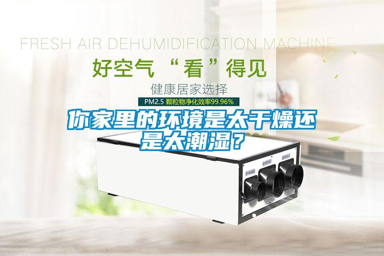 你家里的環境是太干燥還是太潮濕？