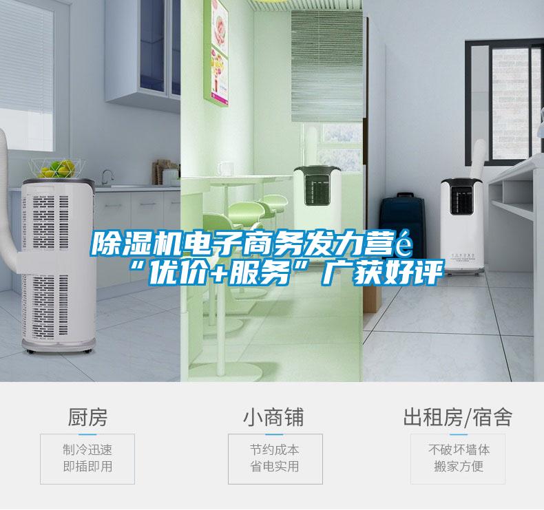 除濕機電子商務發(fā)力營銷“優(yōu)價+服務”廣獲好評