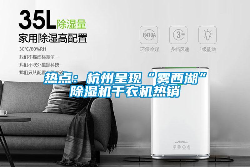 熱點：杭州呈現“霧西湖”除濕機干衣機熱銷