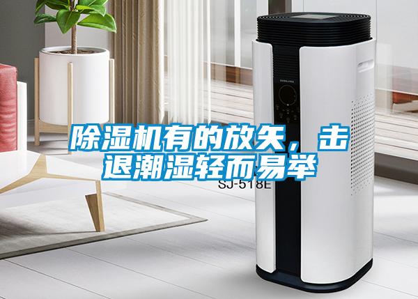 除濕機有的放矢，擊退潮濕輕而易舉