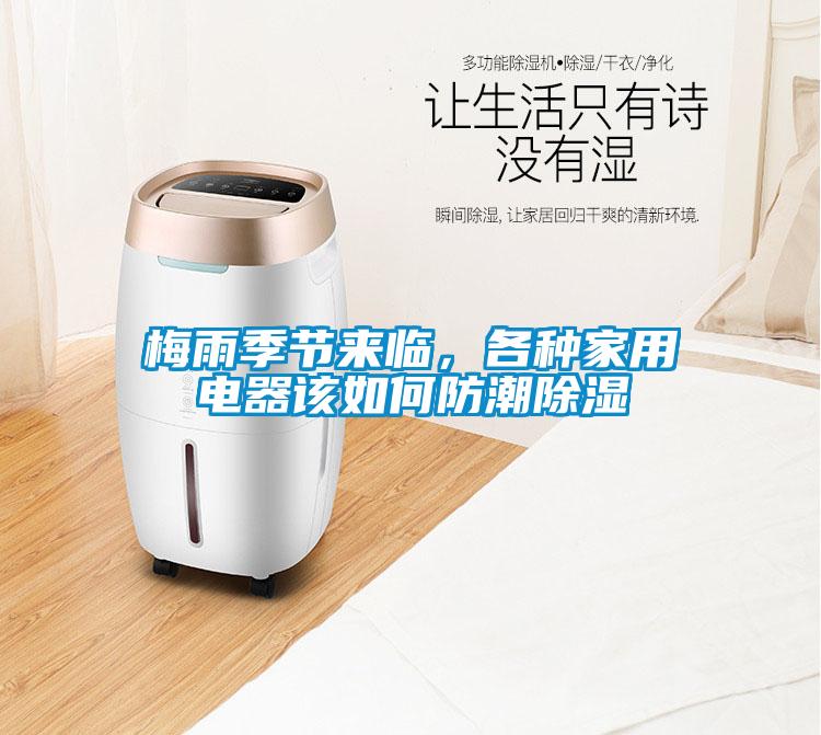 梅雨季節來臨，各種家用電器該如何防潮除濕
