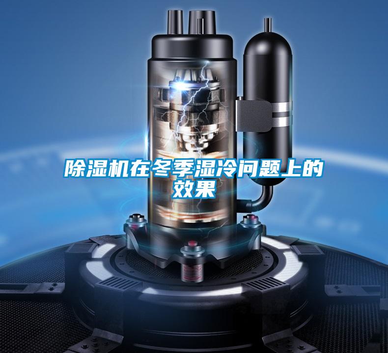 除濕機(jī)在冬季濕冷問題上的效果