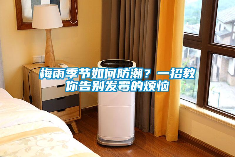梅雨季節如何防潮？一招教你告別發霉的煩惱