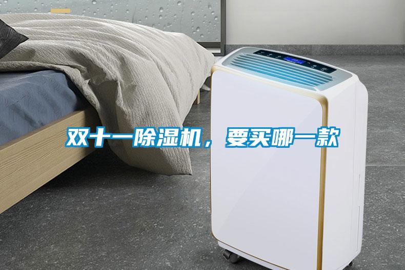 雙十一除濕機，要買哪一款