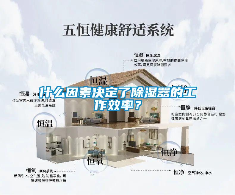 什么因素決定了除濕器的工作效率？