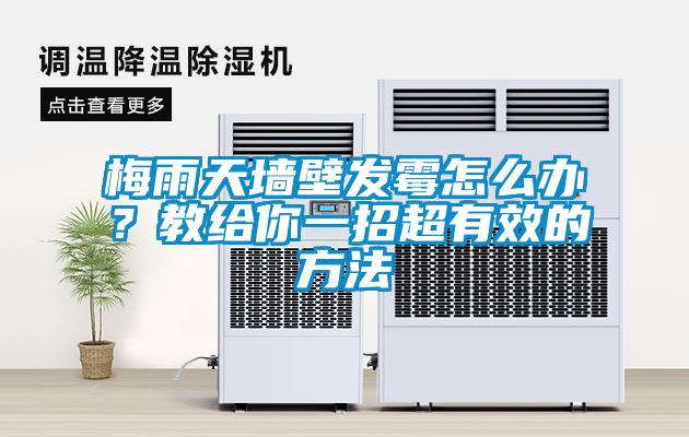 梅雨天墻壁發(fā)霉怎么辦？教給你一招超有效的方法