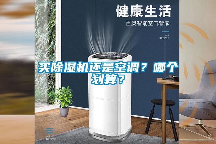 買除濕機還是空調？哪個劃算？