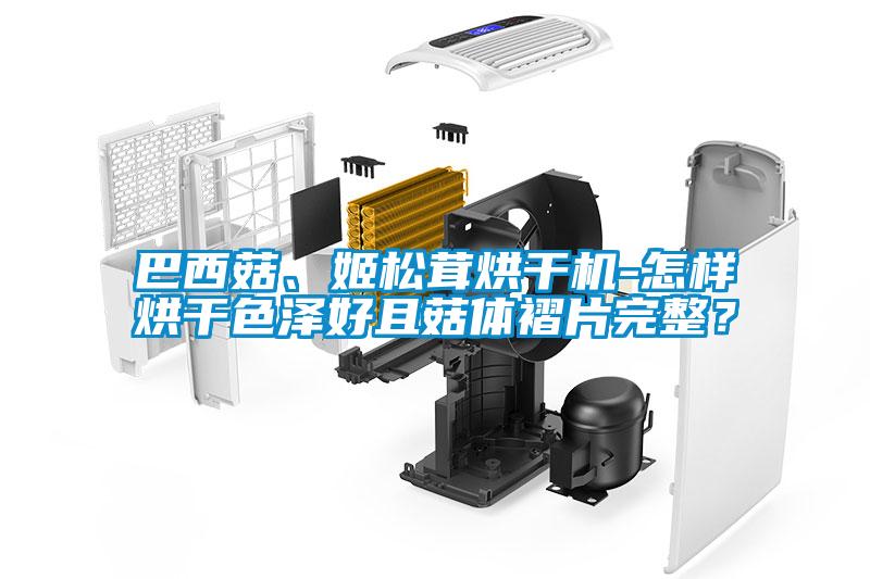 巴西菇、姬松茸烘干機-怎樣烘干色澤好且菇體褶片完整？